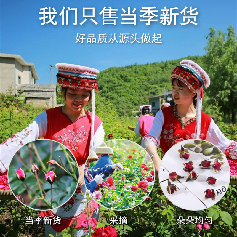 玫瑰花茶旗舰店正品云南天然金边玫瑰花苞人工采摘罐装养生茶