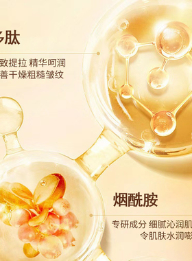 ALICEVA多肽抗皱紧致精华霜