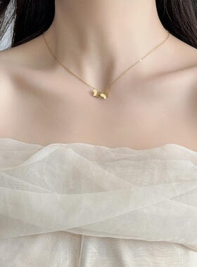 两只蝴蝶项链女款2024新款轻奢锁骨链高级感脖颈链不掉色