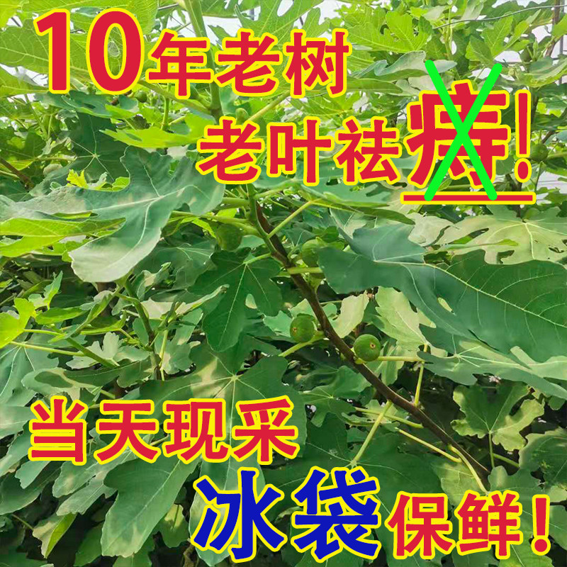 图 3