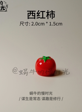 微缩番茄西红柿摆件1:12娃娃屋仿真蔬菜模型迷你厨房装饰拍照道具