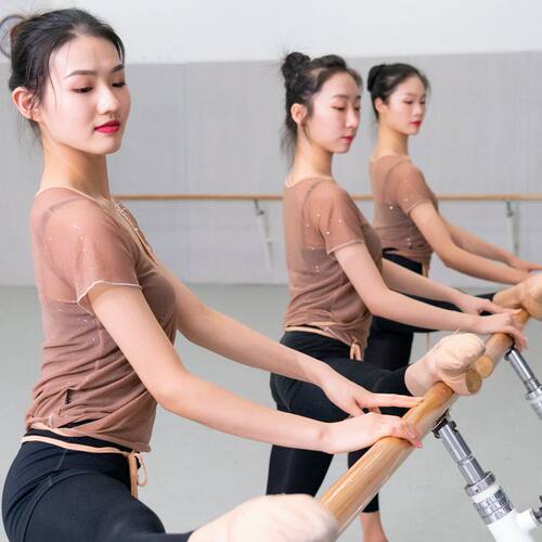 古典舞身韵纱衣舞蹈服女现代舞艺考基训服绑带上衣短袖芭蕾练功服 - 图2