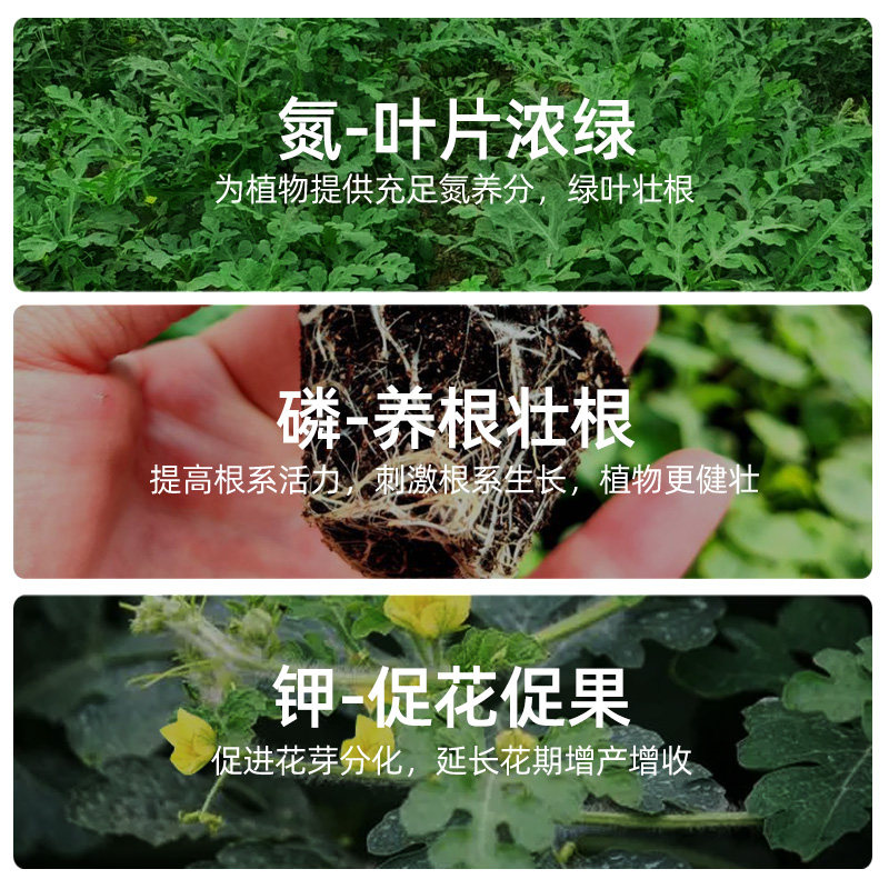 芝麻发酵饼肥有机肥生根壮苗改善土壤养花种菜通用发酵腐熟花肥料,淘宝优惠券,粉丝福利购,淘宝优惠卷