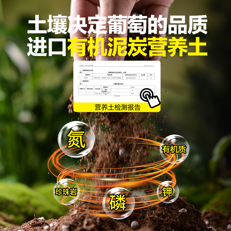 葡萄专用土盆栽专用肥种植营养土果树酸性土壤瓜果树绿植通用肥料 - 图3