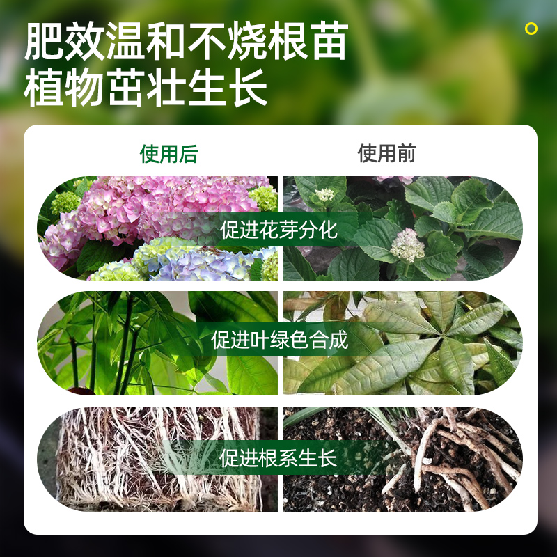 植物营养片通用型家庭园艺缓释肥养花肥料家用盆栽通用花卉果蔬肥 - 图2