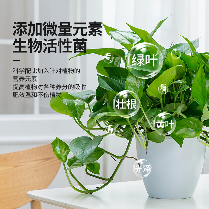 营养液植物通用型绿萝多肉绿植室内花卉盆栽土培水培花肥液体肥料 - 图1