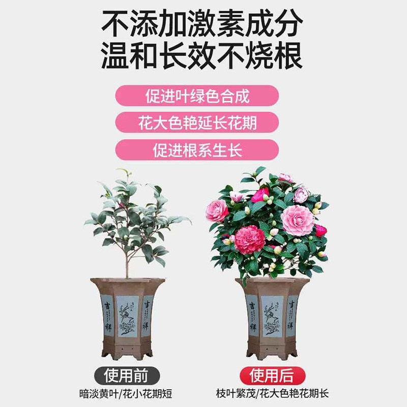 营养液茶花肥料专用肥喜酸植物杜鹃茉莉绿叶促开花盆栽花卉通用型,淘宝优惠券,粉丝福利购,淘宝优惠卷