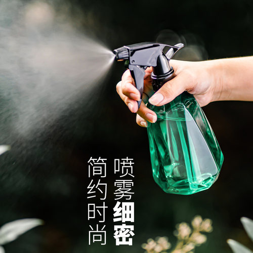 喷壶浇花喷水壶家用清洁专用超细雾状喷雾小型酒精消毒清洁洒水壶 - 图3