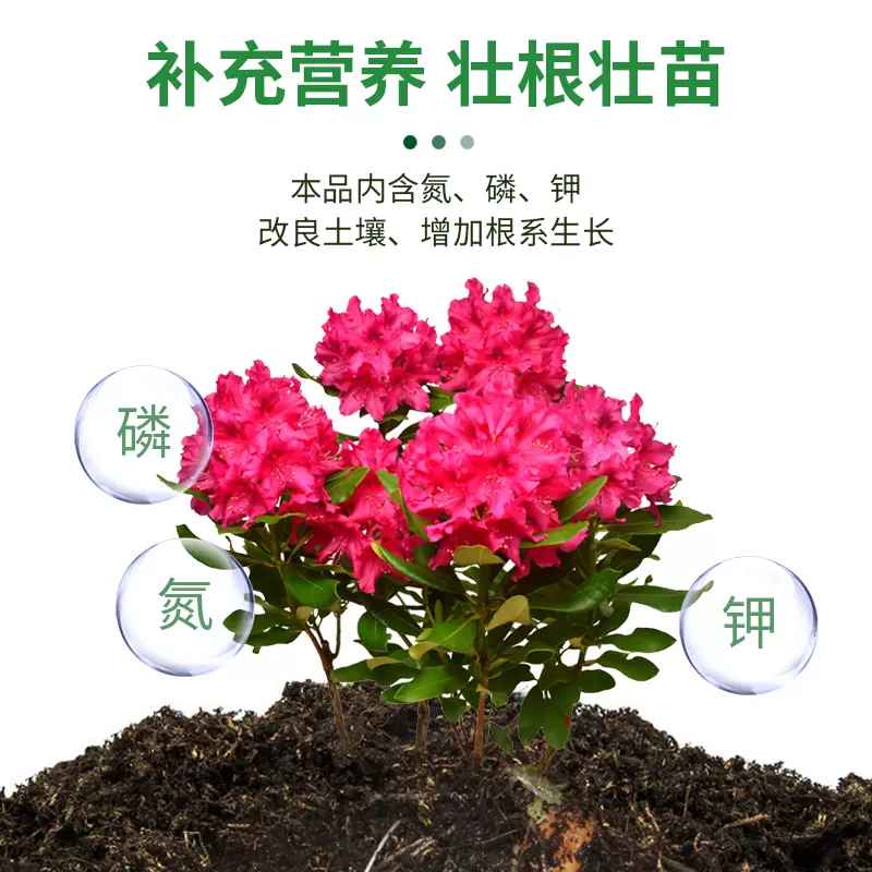 杜鹃花专用肥营养液花肥料家用盆栽花卉通用型养花酸性植物叶面肥