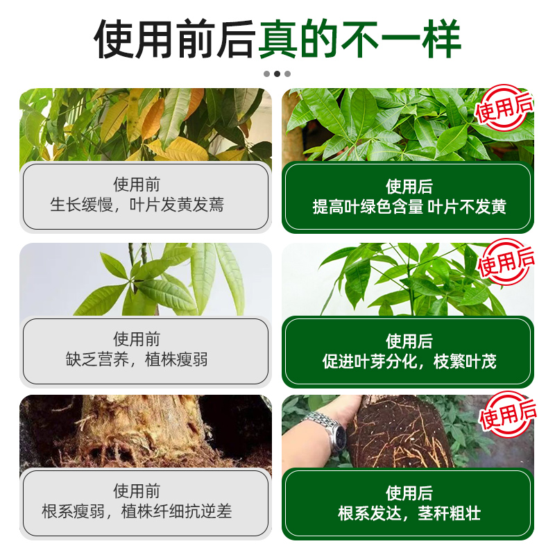 发财树专用营养液黄枯叶烂根肥料专用肥室内盆栽植物营养液通用型