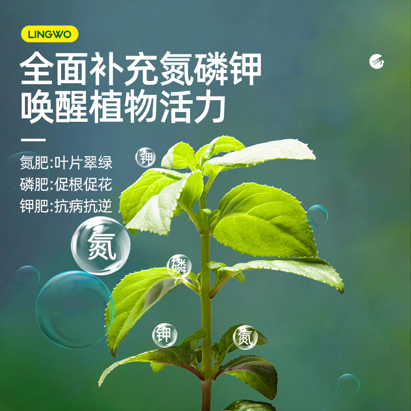 植物营养液通用型免稀释绿植盆栽肥料室内水培绿萝花卉叶面肥喷施 - 图1