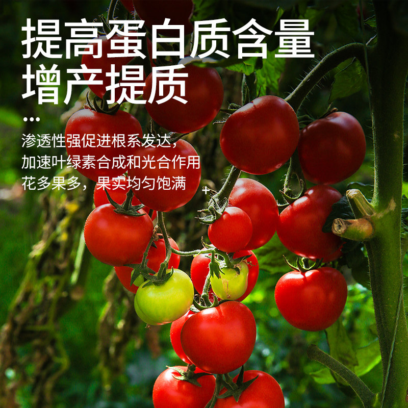 螯合铁植物营养液黄叶黄化病通用型补铁发财树绿箩硫酸亚铁花肥料,淘宝优惠券,粉丝福利购,淘宝优惠卷