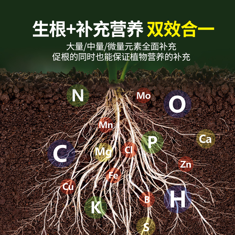 快速生根粉植物通用生根扦插移栽多肉家用盆栽树木壮根生根壮苗剂 - 图1