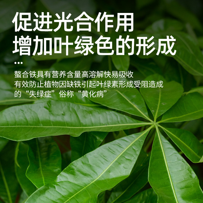 螯合铁植物营养液黄叶黄化病通用型补铁发财树绿箩硫酸亚铁花肥料,淘宝优惠券,粉丝福利购,淘宝优惠卷