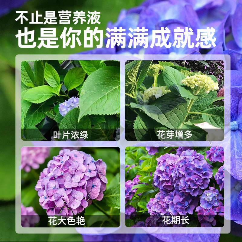 绣球花肥料专用肥浓缩营养液家用盆栽花卉花肥料水土培植物通用型 - 图2