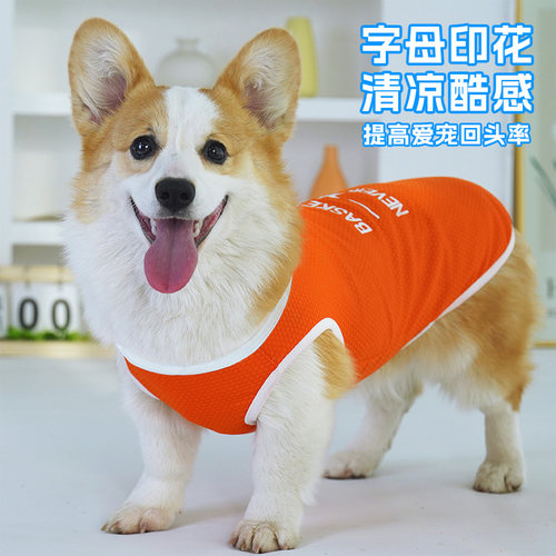 网红宠物狗狗衣服夏季薄款柯基中小型犬用品防掉毛防晒衣法斗背心 - 图2