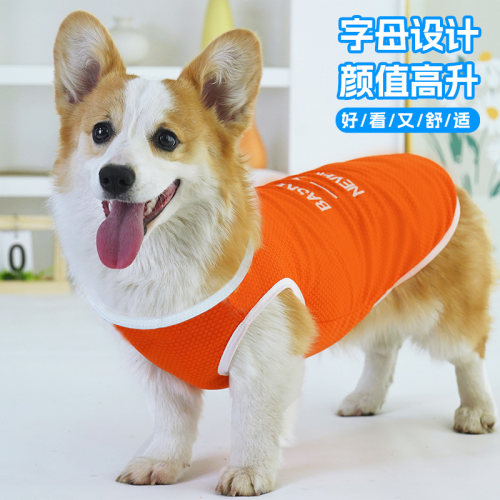 网红宠物狗狗衣服夏季薄款柯基中小型犬用品防掉毛防晒衣法斗背心 - 图0