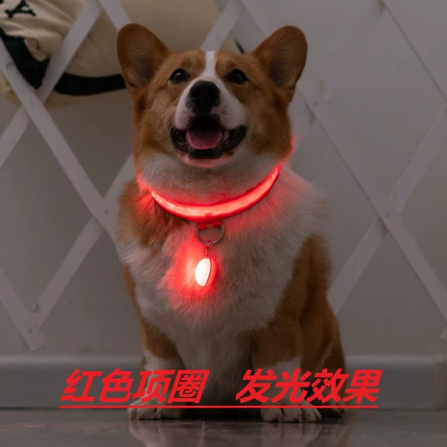 Corgi Dog Light -Emting -Emating Collar Pet Dog Shece Circle сражается с Шиба Ину Сюенари Тедди Маленький и Маленький Ину Ночи Светлый Круг Круг