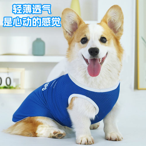 网红宠物狗狗衣服夏季薄款柯基中小型犬用品防掉毛防晒衣法斗背心 - 图1