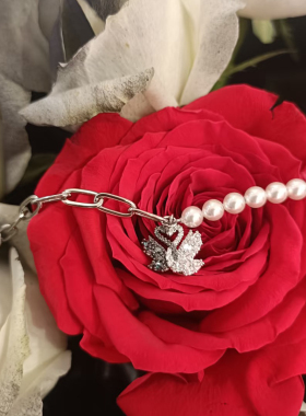 【礼盒包装】天鹅项链黑天鹅手链