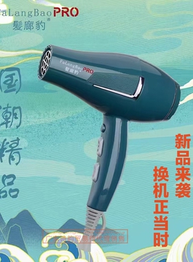发廊豹V2大功率理发店专用速干大