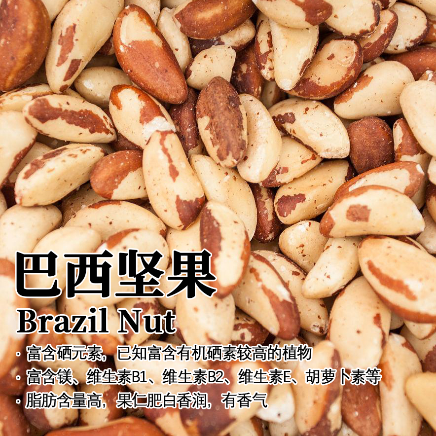 Family Farm Organic Brazil Nuts250g 巴西坚果鲍鱼果无壳富硒孕 - 图0