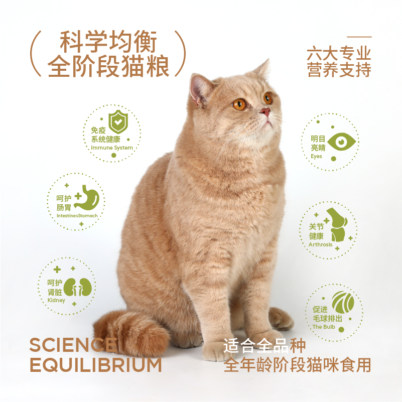 奥丁西餐厅猫粮成猫幼猫通用型深海鱼天然粮猫饭500g尝鲜装-图1