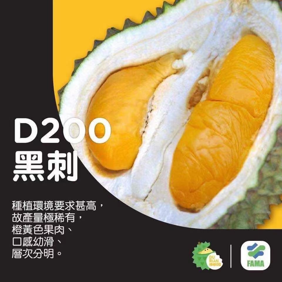 当季新果！马来西亚D200黑刺液氮带壳榴莲顺丰冷运包邮到家