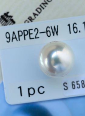 日本证书大尺寸珍珠