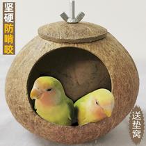 Coconut Shell Bird Nest Prevention Nibble Tiger Leather Peony Parrot Nest Bird Nest Pearl Moon Bird Mysterious Nest Egg and Sleeping Aids