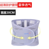 Медицинская летняя поясничная поясничная поясничная плита, выступающая по поясничной мышце, поясничная поясничная позвонка, поясничная талия талия, женская особенная