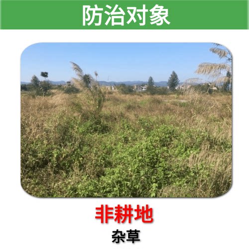 23%草铵膦精喹禾灵乙羧氟非耕地杂草三元复配除草剂 - 图0