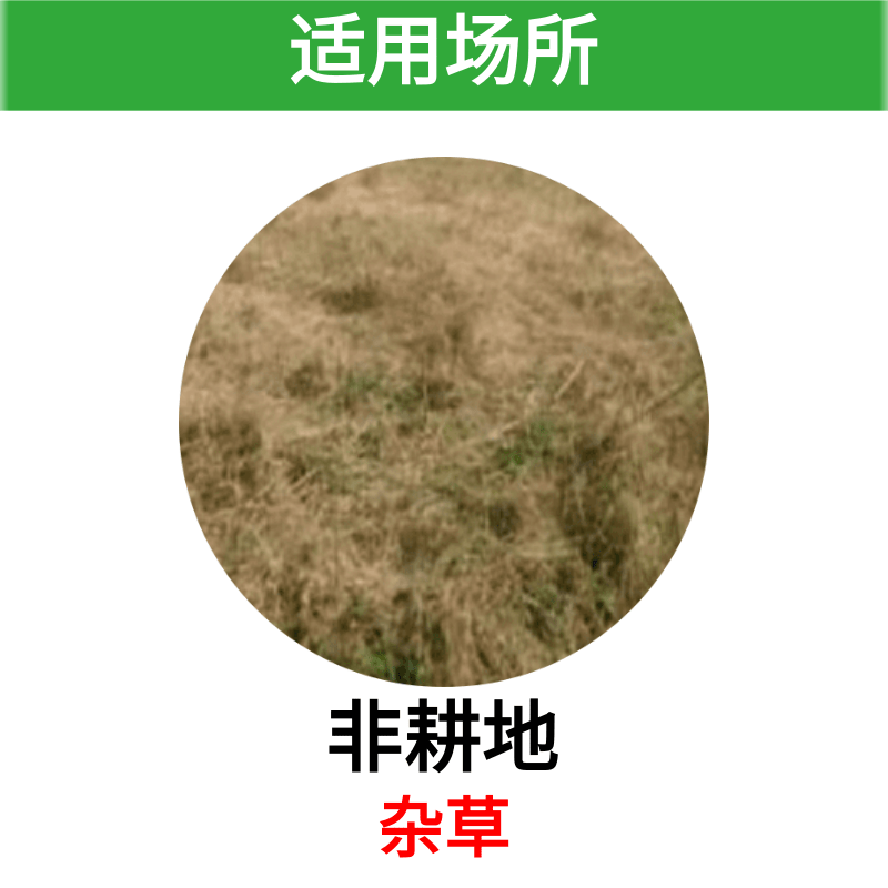 敌草快 敌草怏 除草彻底强力杀草剂除杂草荒地果园除草剂正品 - 图0