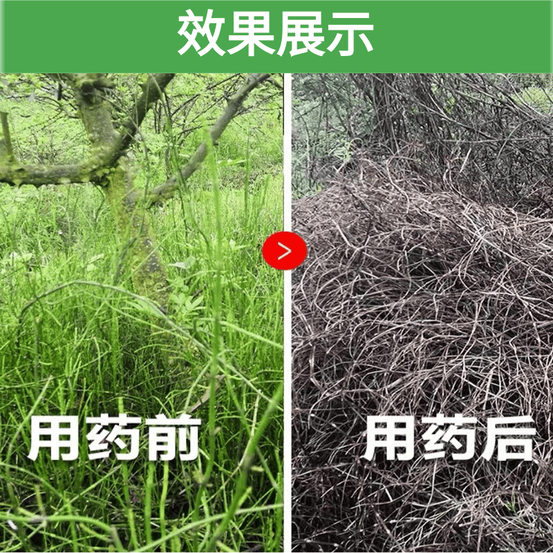 绿野红火 2二甲草甘膦异丙铵盐草甘磷除草剂烂根剂草甘磷正品农药-图1