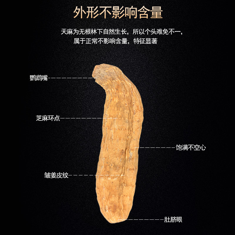 长白山野生干货泡酒炖鸡特级小天麻 凌修堂天麻