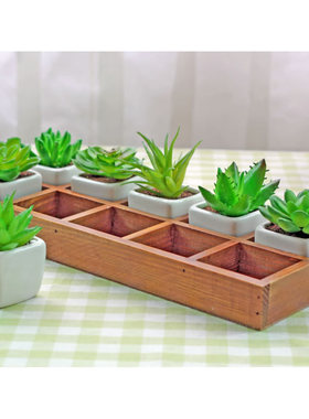 小盆栽实木桌面DIY托盘