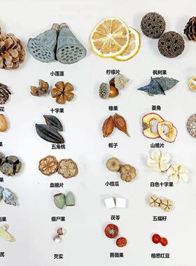 秋冬氛围感干果发夹小众手作复古