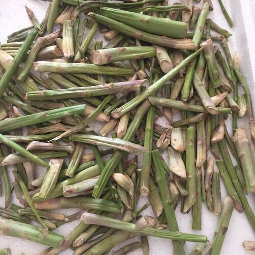 农家新晒芦笋干石刁柏干芦笋整株绿芦笋干泡茶药用可打粉100g包邮 - 图0
