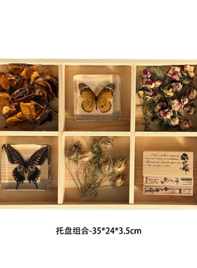 原创设计师样板间儿童房书桌书架桌面植物干花标本组合摆件装饰品