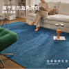 Prussian sea dopamine imported wool carpet