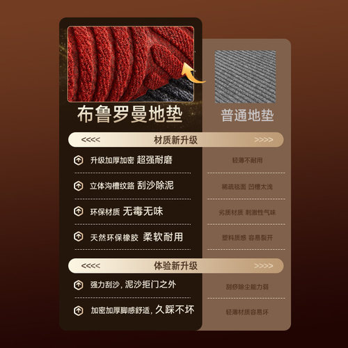 入户门专用地垫喜庆进门pvc防滑蹭脚垫门外户外耐脏地毯轻奢高级 - 图3