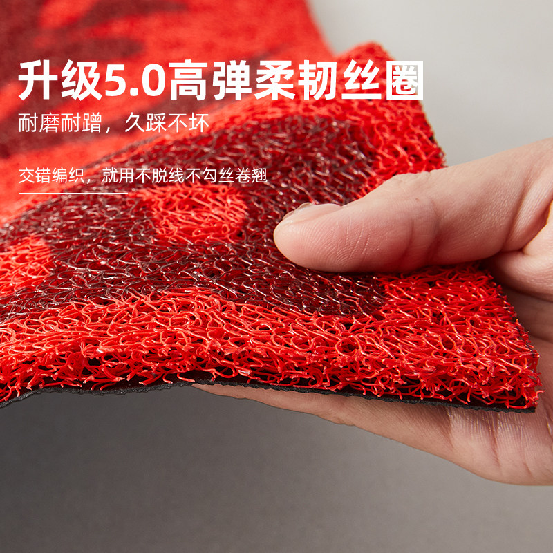 2026新款红色丝圈地垫入户门垫进门脚垫子防滑耐磨地毯喜庆可裁剪,淘宝优惠券,粉丝福利购,淘宝优惠卷