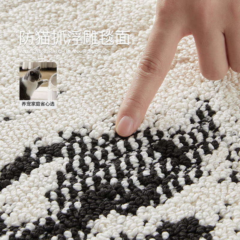 地毯客厅2025新款免打理免洗可擦防水防污轻奢高级卧室床边房间