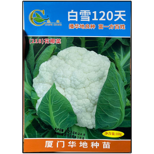 白雪120天10g白花菜椰紧花菜甘蓝花洋花菜结球花甘蓝蔬菜种子孑籽 - 图2