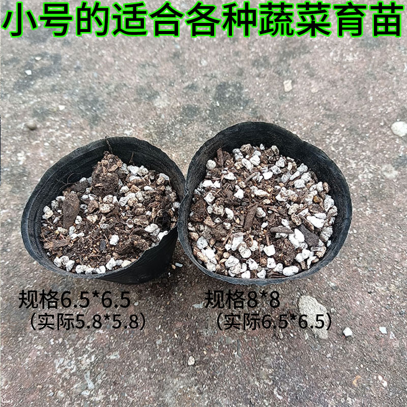 营养杯育苗盆蔬菜花卉育苗袋育苗杯育苗盒钵袋加厚塑料一次性小号 - 图0