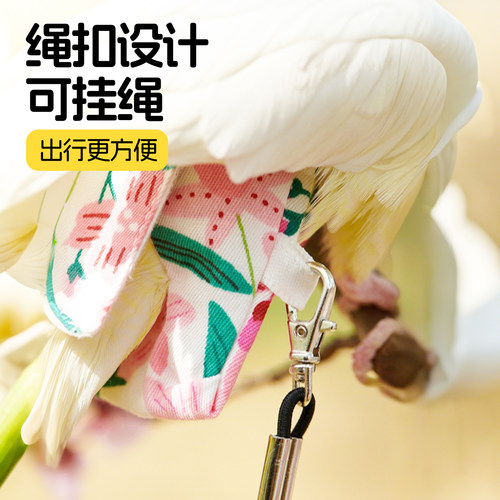 鹦鹉屎兜拉屎神器虎皮玄凤牡丹小太阳专用尿片便兜纸尿裤鸟尿不湿 - 图2