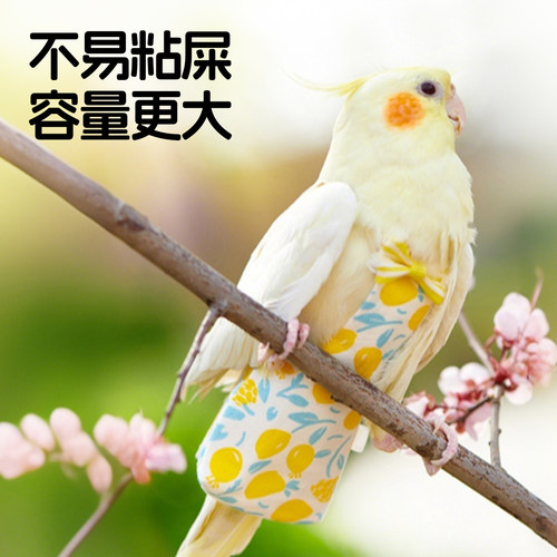 鹦鹉屎兜拉屎神器虎皮玄凤牡丹小太阳专用尿片便兜纸尿裤鸟尿不湿 - 图0