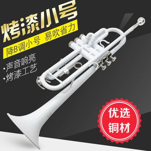 降B调三音小号铜管乐器喇叭学生初学乐队专业演奏考级带便携箱包 - 图0