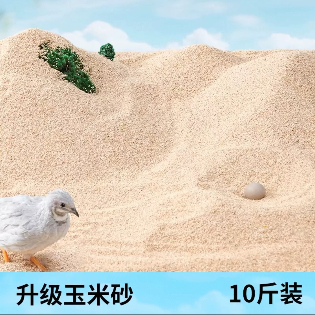图5