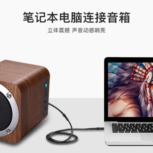 秋叶原音频线一分二3.5mm转双莲花头rca插头手机电脑接功放音箱线 - 图3
